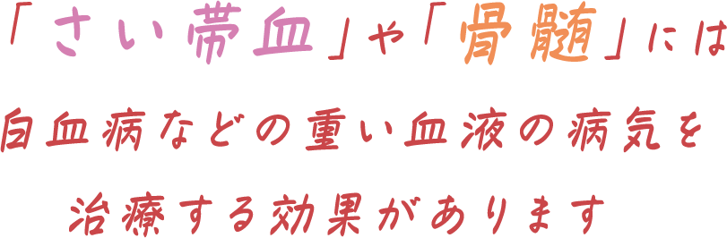 「さい帯血」や「骨髄」には白血病などの重い血液の病気を治療する効果があります